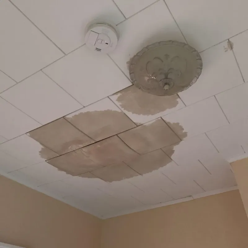 Ceiling Water Damage Repair in Knox County, NE