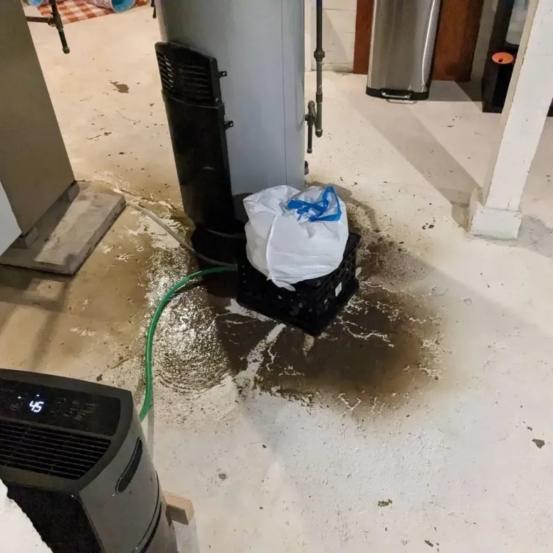 Sewage Backup Cleanup Service in Knox County, NE